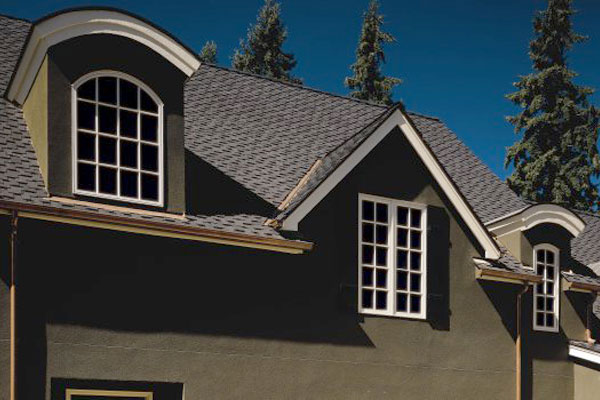 Charcoal Black Shingle Roof