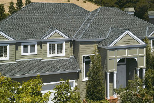 Platinum Shingle Roof