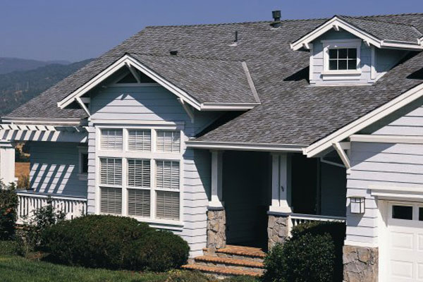 Slate Gray Shingle Roof