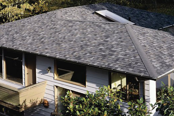 Thunderstorm Grey Shingles