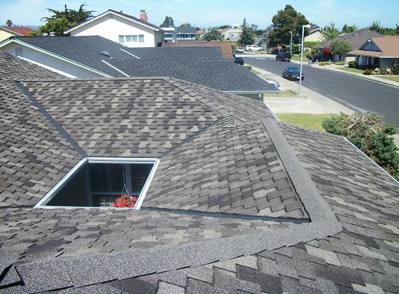 Completed Roof Shingle Solution